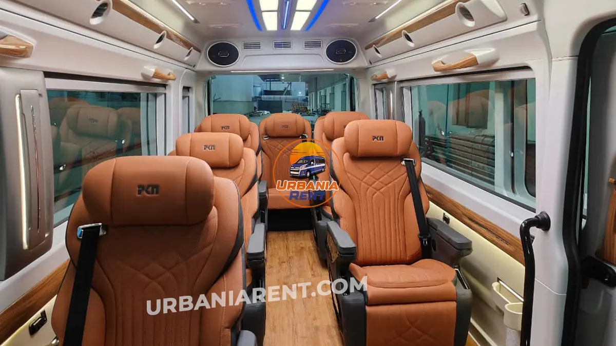 Luxury Maharaja Brown Seats Luxury Maharaja Brown Seats